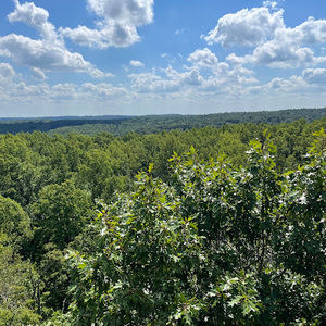 Meet your Posher, Calio